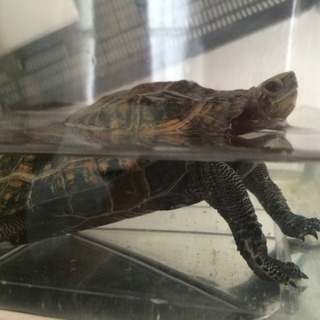 現在交渉中です