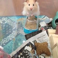 ミルク
