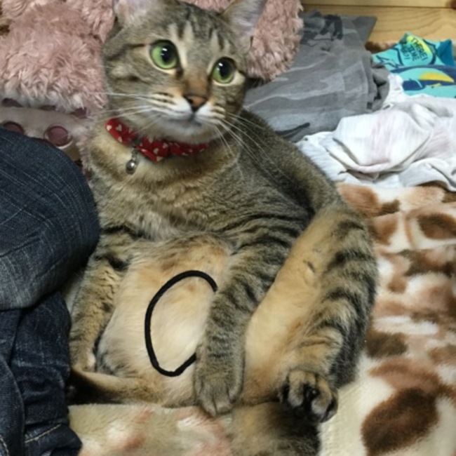宛のカバー写真
