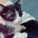 当方で引き取ることにいたしました。