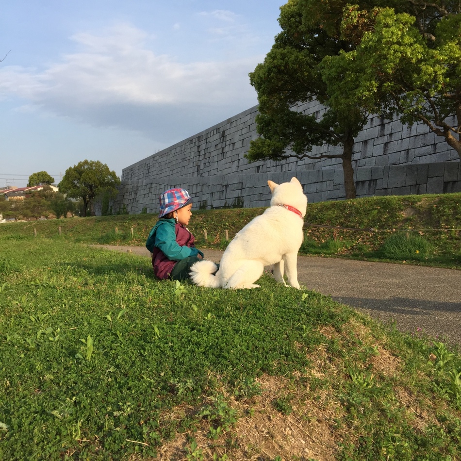 もちのカバー写真