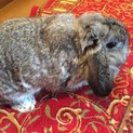 ありがとうございました！