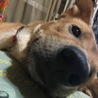 とものさく