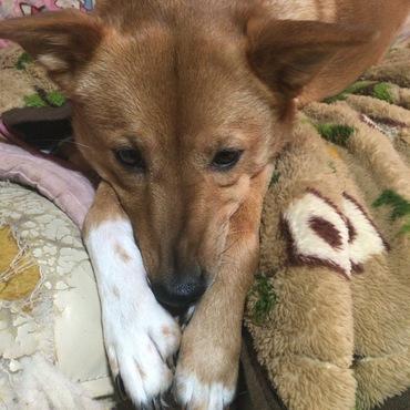 スネ坊(^^;;