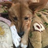 スネ坊(^^;;