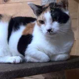 小柄でとっても可愛い女の子。