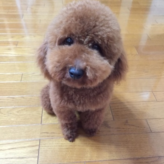 もる翔のカバー写真