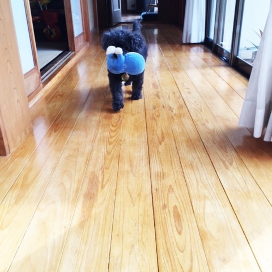 りかのカバー写真