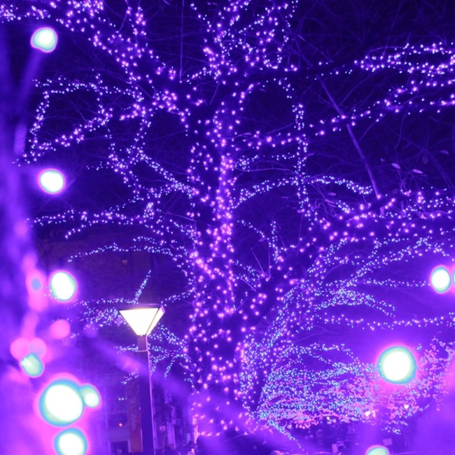 c.loverのカバー写真