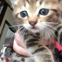 ご応募ありがとうございました、幸せになります