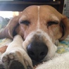 まい0623