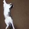 の写真