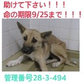 家族ができました！！