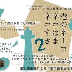 港のネーコ　ネコはま　ネコすき２