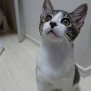 とってもチャーミングで懐っこい姉妹、美々ちゃん♪ 