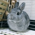 ご応募多数頂いてる為、一旦閉めさせて頂きます。