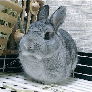 ご応募多数頂いてる為、一旦閉めさせて頂きます。