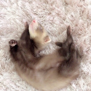 三ヶ月の男の子