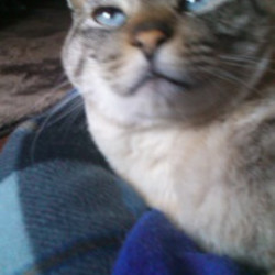 愛しのゴロさん