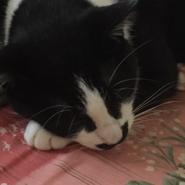 朧：　ふて寝！！　（？ｏ？；）