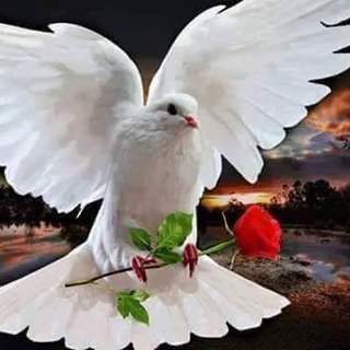 有難うございました