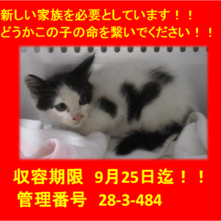 9/23お迎えいただきました(^^♪感謝♪