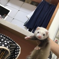 ずん
