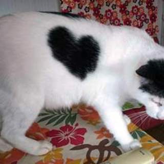 ハートの模様が素敵です