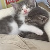 ベストショット♪