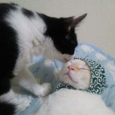 やっぱり君も着けたまま寝ちゃうのね(笑)