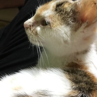 ご覧頂き、ありがとうございます。