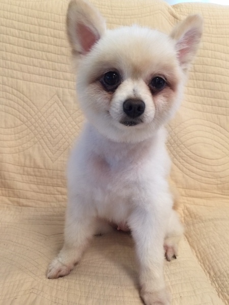 京都のS宅お宅に迎えて頂き幸せになりました サムネイル2