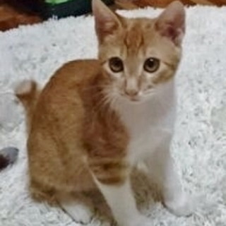 必死で生きていました！！