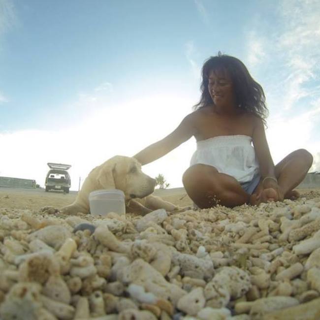 レレのカバー写真