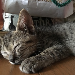 暖かい家族募集中(^_^)