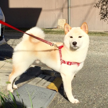 の写真