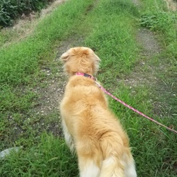 「散歩～♬」サムネイル2