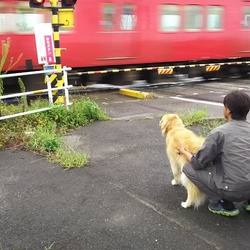 「散歩～♬」サムネイル3