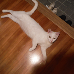 「芽露さんアルバム」サムネイル1