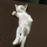 無防備過ぎちゃぅ‼(•'Д'• ۶)۶（笑）