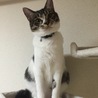 の写真