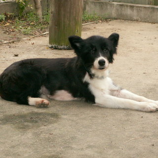 伊東市様に決定心配頂いた皆様に感謝です