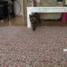 の写真