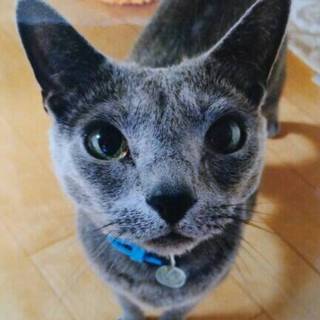 とても人懐っこいです