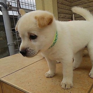 可愛いい  さおりちゃん！1.5か月