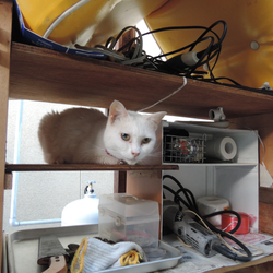 「芽露さんアルバム2」サムネイル1