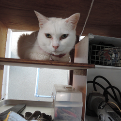 「芽露さんアルバム2」サムネイル2