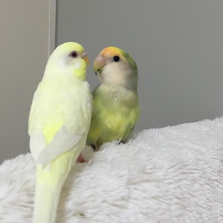 沢山のご応募ありがとうございました！