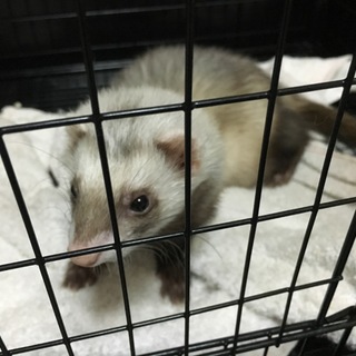 幸せにしてくださる方が見つかりました！