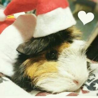 見つかりました！ありがとうございました（*＾＾*）